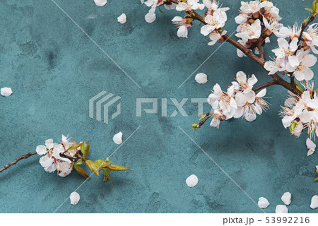 Grunge floral background Grunge floral background 53992216