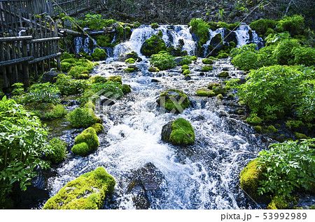 北海道 京極ふきだし公園 53992989