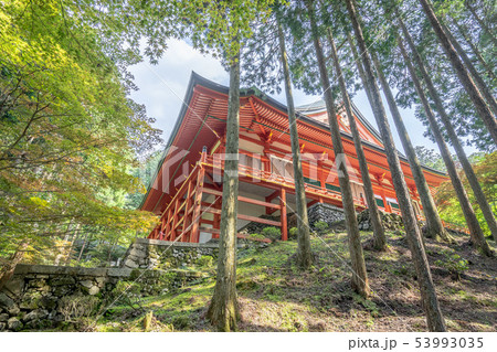 比叡山延暦寺5680 53993035