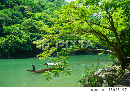 京都　新緑の嵐山 53993197