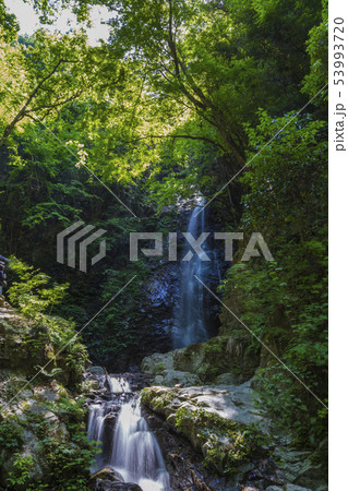払沢の滝　初夏景 53993720