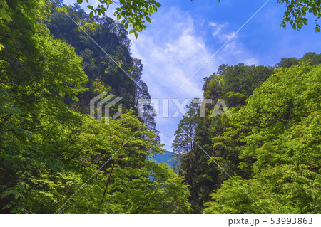 奥秋川渓谷 神戸岩 初夏景 奥秋川渓谷 神戸岩 初夏景 53993863