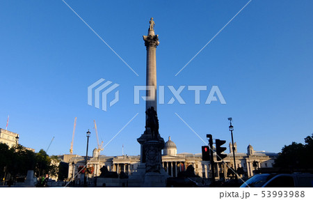 トラファルガー 53993988