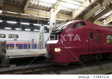 特急いなほ号(E653系ハマナス色) 特急いなほ号(E653系ハマナス色) 53994116