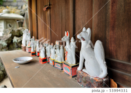 叶神社の狐 叶神社の狐 53994331