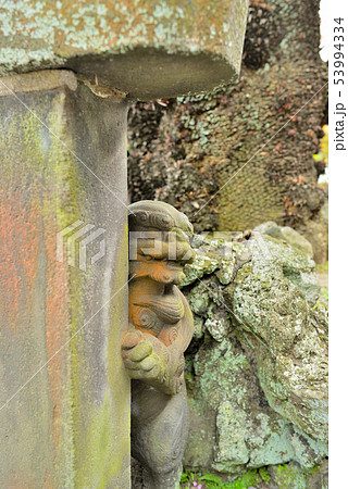 叶神社の狛犬 叶神社の狛犬 53994334