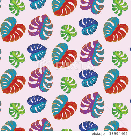 Green Monstera Leaves 53994465