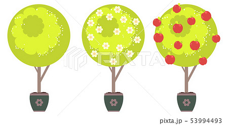Abstract Apple Tree 53994493