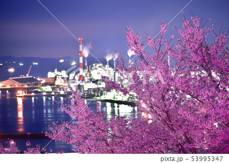 工場と夜桜 53995347