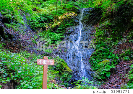武甲山登山道 (表参道コース・不動滝) 武甲山登山道 (表参道コース・不動滝) 53995771