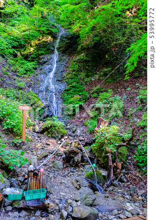 武甲山登山道 （表参道コース・不動滝） 53995772