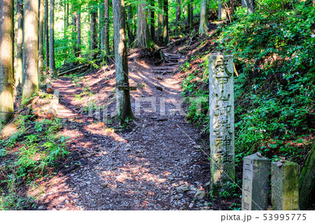 武甲山登山道 （表参道コース） 53995775