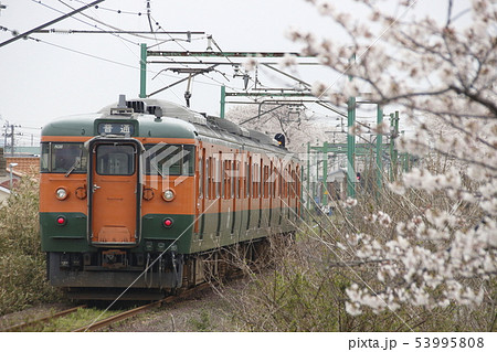 終焉近い越後線115系 湘南色 の写真素材