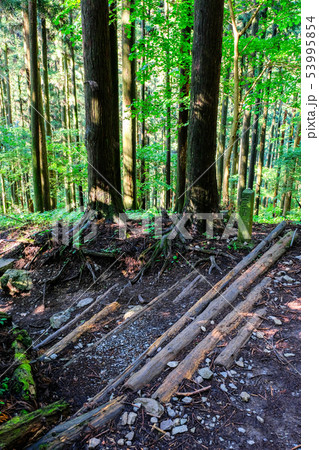 武甲山登山道 （表参道コース・丁目石） 53995854