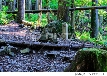 武甲山登山道 (表参道コース・丁目石) 武甲山登山道 (表参道コース・丁目石) 53995861