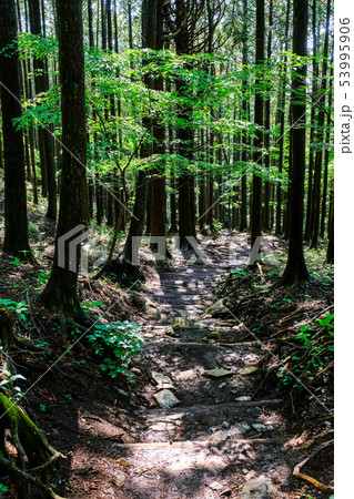 武甲山登山道 (表参道コース) 武甲山登山道 (表参道コース) 53995906