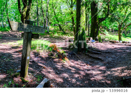武甲山登山道 武甲山登山道 53996016