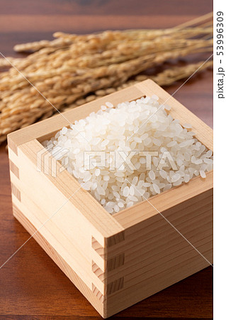 米 53996309