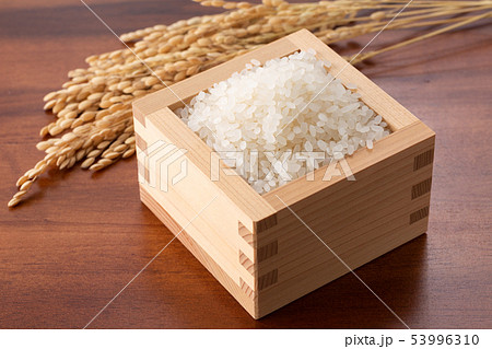 米 53996310