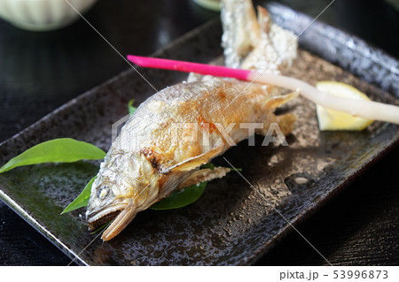 鮎の塩焼き 53996873
