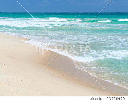 西オーストラリア・スカボローのビーチ / Scarborough beach, Australia 53996990