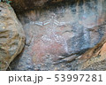 オーストラリアの世界複合遺産カカドゥ国立公園のX線透視図法岩絵 53997281