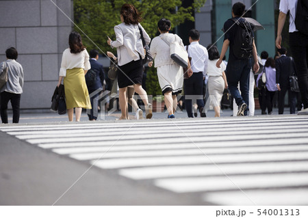 走って横断歩道を渡る女性の後ろ姿 54001313