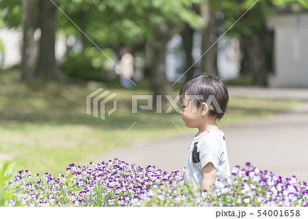 子供 男の子 ポートレート 2才児 幼児 子供 男の子 ポートレート 2才児 幼児 54001658