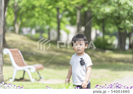 子供 男の子 ポートレート 2才児 幼児 子供 男の子 ポートレート 2才児 幼児 54001660