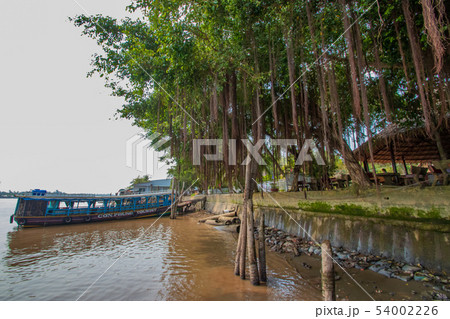 ベトナム　ミトー　メコン川とクルーズ船 54002226