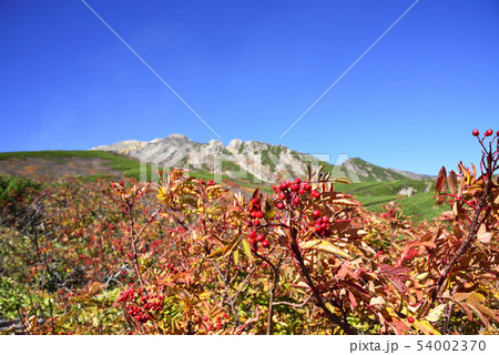 紅葉の時期の御嶽山-8合目女人堂付近 54002370