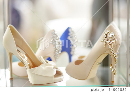 Elegant bridal or ballroom dance shoes. Bridal Elegant bridal or ballroom dance shoes. Bridal 54003083