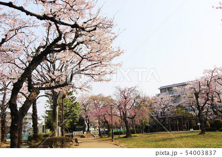 希望丘記念公園 54003837