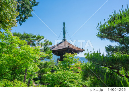 京都 常寂光寺の多宝塔 新緑 京都 常寂光寺の多宝塔 新緑 54004296