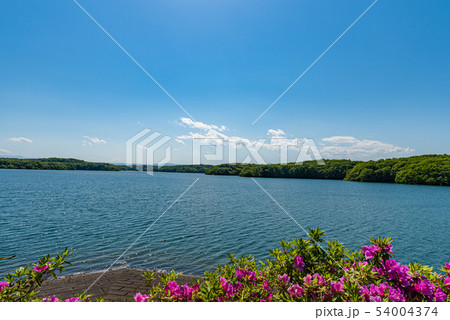 狭山湖 54004374