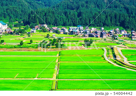 夏の農村風景 （７月）の写真素材 [54004442] - PIXTA