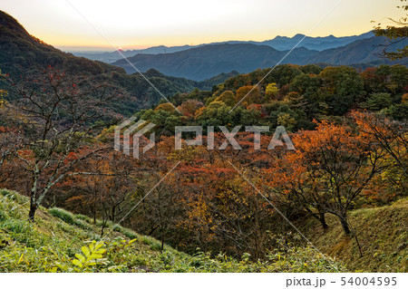妙義山・中ノ岳神社付近からみる日の出と紅葉の山並み 54004595