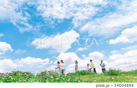 シニア、散歩、介助、介護 54004899