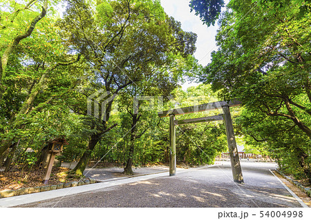 熱田神宮の風景 54004998