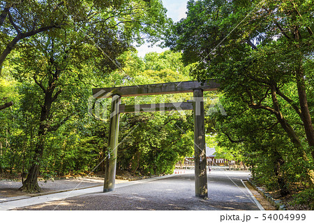 熱田神宮の風景 54004999