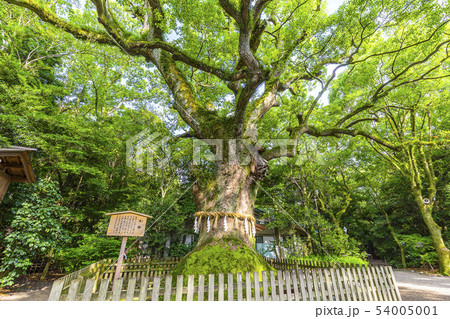 熱田神宮の風景 54005001