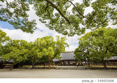 熱田神宮の風景 54005006