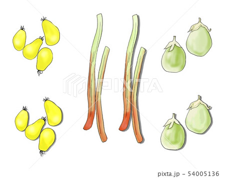 イエロープラム ルバーブ 白なす 54005136