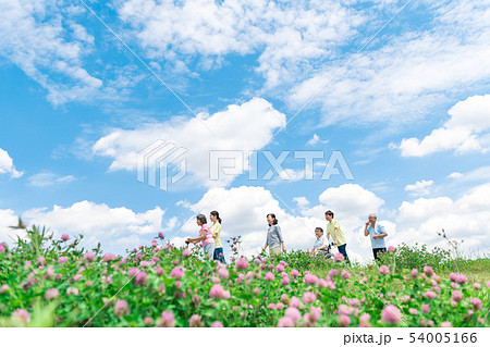 シニア、青空、散歩、介助、介護、花、車椅子 シニア、青空、散歩、介助、介護、花、車椅子 54005166