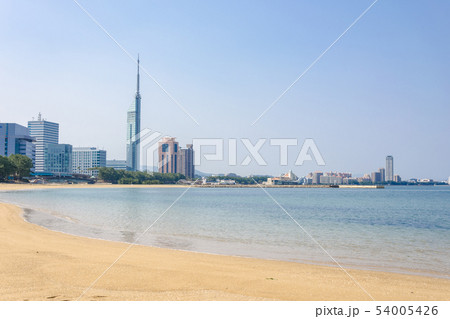 シーサイドももち海浜公園 シーサイドももち海浜公園 54005426