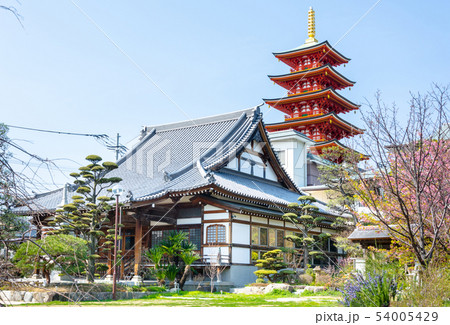 大圓寺本堂五重塔 大圓寺本堂五重塔 54005429