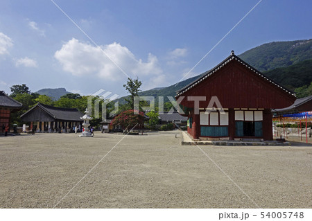 寺院 コトムルト 霧 54005748