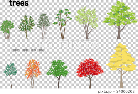 樹集1 插圖素材 圖庫