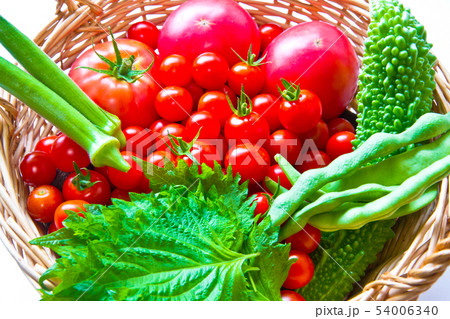 採れたての夏野菜 54006340