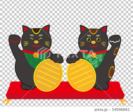 猫　招き猫　小判　黒猫　 54006662